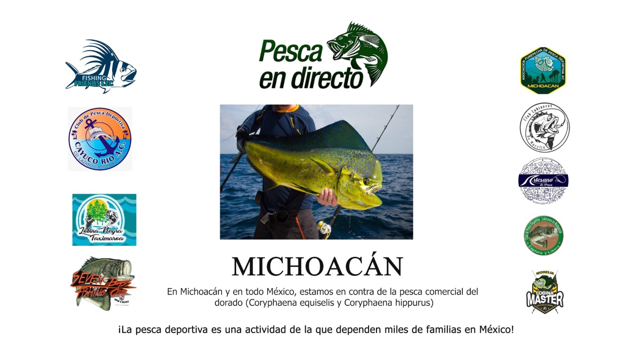 En Michoacán y en todo México, estamos contra la pesca comercial de dorado