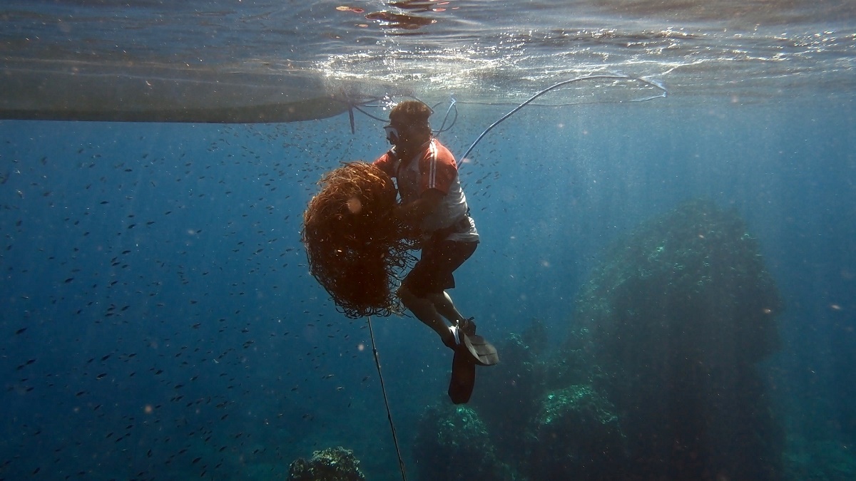 Para proteger fauna marina, extraen redes fantasmas en la Isla Farallón de San Ignacio, Sinaloa