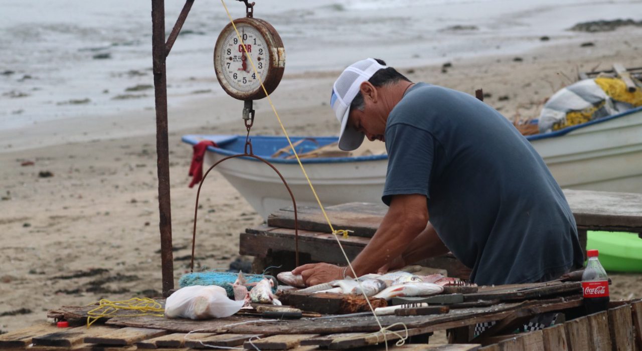 Buscan pescadores que el Dorado deje de ser una especie ‘fifí’