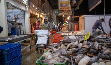 Retienen más de mil 300 toneladas de productos pesqueros y acuícolas durante 2019