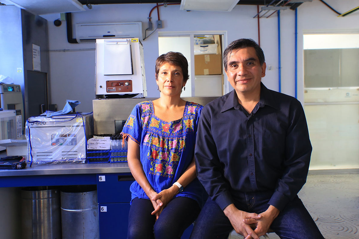 Investigadores de la UAM, van al rescate del estero Josefino, de San José Los Cabos, BCS