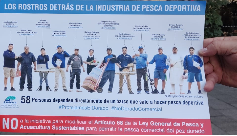 Con oposición total a la pesca comercial del dorado (Coryphaena hippurus), “truena” parlamento abierto de la diputada Claudia Yáñez