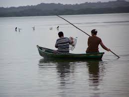 Publica SADER lineamientos de operación del Programa de Fomento a la Agricultura, Ganadería, Pesca y Acuacultura