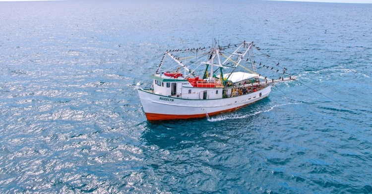 Veda temporal para la pesca de todas las especies de camarón en aguas marinas el océano Pacífico