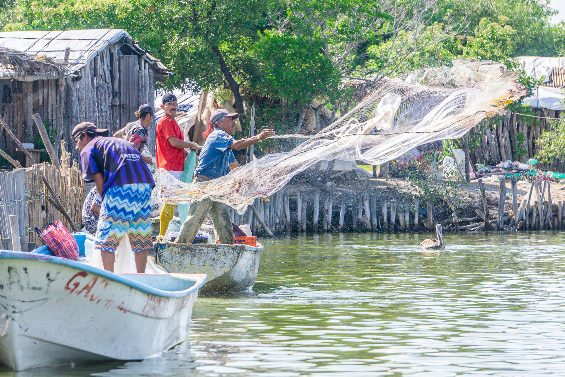 Investigan recursos pesqueros de Guerrero, Oaxaca y Chiapas para protección, conservación y aprovechamiento