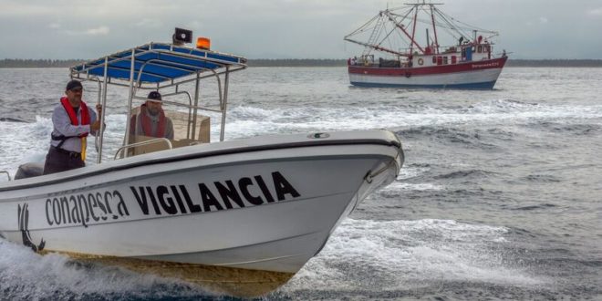 En México, las secretarías de Agricultura y Marina juntas en inspección y vigilancia para proteger recursos pesqueros