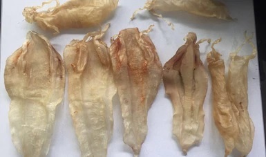 Aseguran 66 buches de totoaba en Mazatlán, Sinaloa, que iban a exportarse a China