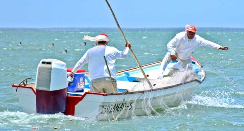 Adelantarán recursos de Bienpesca, para apoyar a pescadores y acuacultores que pararon por emergencia sanitaria