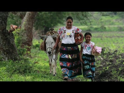 Tlali Nantli (Madre Tierra). Cortometraje en lengua náhuatl de Guerrero