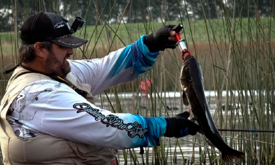 Revista Digital Pesca Total Uruguay (mayo 2020)