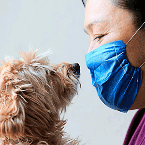 No hay evidencia científica que respaldo transmisión de coronavirus SARS CoV-2 por animales: Jorge Castañeda de la UAM