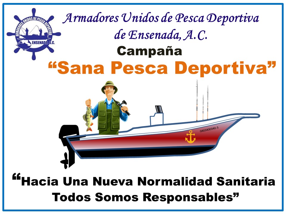 Campaña “Sana pesca deportiva”, propuesta emergente de armadores y operadores turísticos de Baja California para regresar a la normalidad
