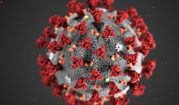 El organismo humano tiene capacidad de defensa contra el coronavirus SARS CoV-2 que provoca la Covid-19: científico UAM