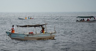 Permitirán temporalmente a prestadores de servicios turísticos, pesca de autoconsumo en Quintana Roo