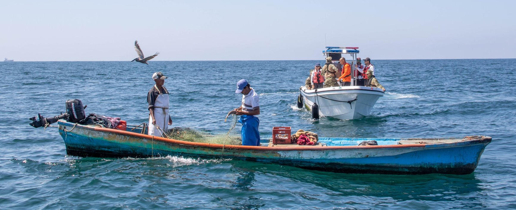 En pandemia, oficiales federales de pesca de Conapesca, y de Semar, vigilan la pesca para evitar saqueo; en redes sociales acusan corrupción