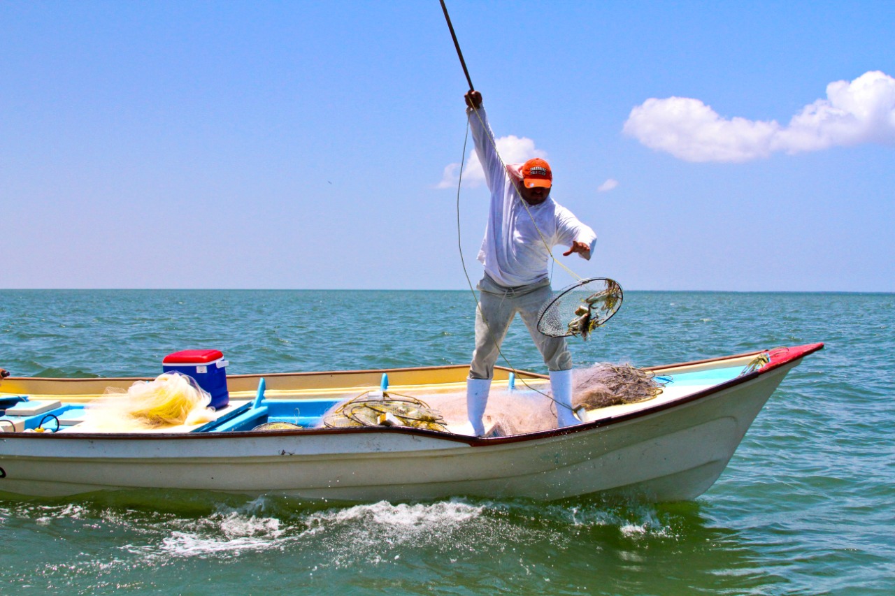 Cumple Conapesca 19 años; sostiene compromiso de administrar, ordenar y fomentar la pesca y acuacultura sustentable