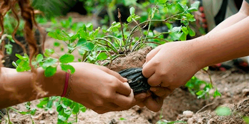 El ecosocialismo, es una alternativa al modelo capitalista de explotación y destrucción de la naturaleza
