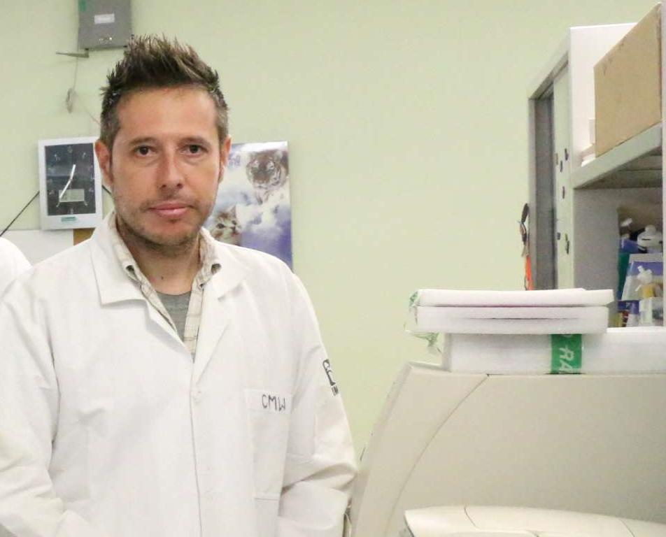 Urge prevenir doble infección que puede convivir en un solo paciente: COVID-19 y dengue
