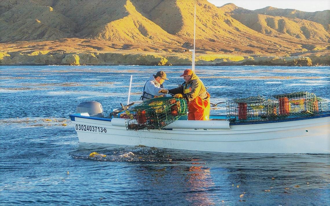 Dispersión de recursos emergentes del Bienpesca, con avance de 92 %: Raúl Elenes Angulo