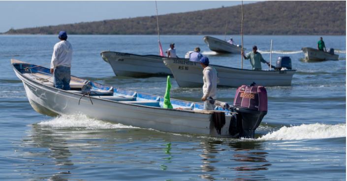Ejecución de Bienpesca lleva un avance de 90 por ciento: Raúl Elenes Angulo