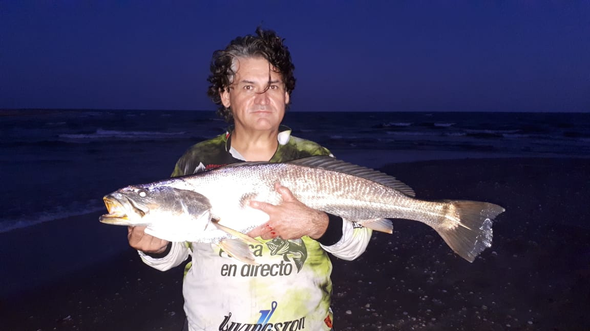 Sasha Kintanar, de Sonora, rompe su récord de curvina golfina en el Mar de Cortés: 8 kilogramos de fuerza