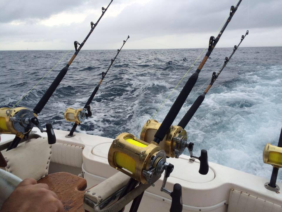 Yusso Barquet y compañeros, al encuentro del atún amarillo (Thunnus albacares) de Veracruz