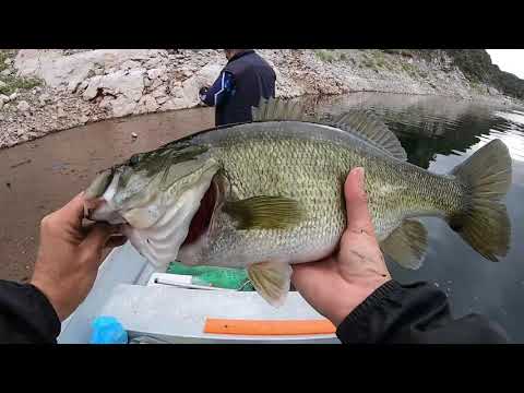 1er. Torneo Virtual de Pesca en Zimapán de la Asociación de Pescadores Deportivos de Querétaro