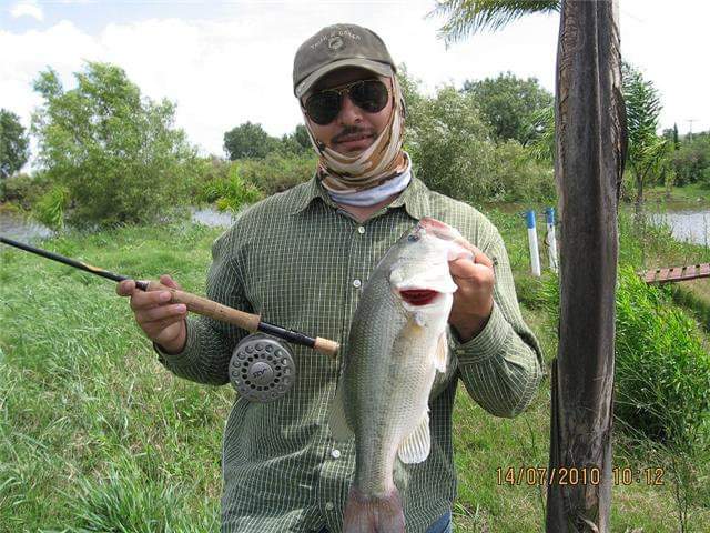 Pescando lobinas con mosca