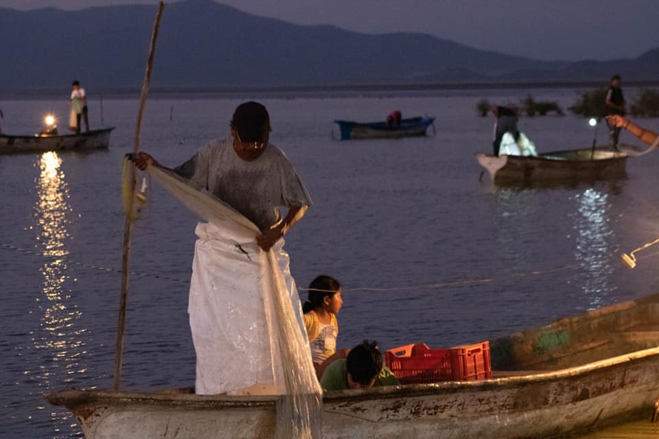 La Conapesca levanta escalonadamente la veda de camarón en el Océano Pacífico y Golfo de California