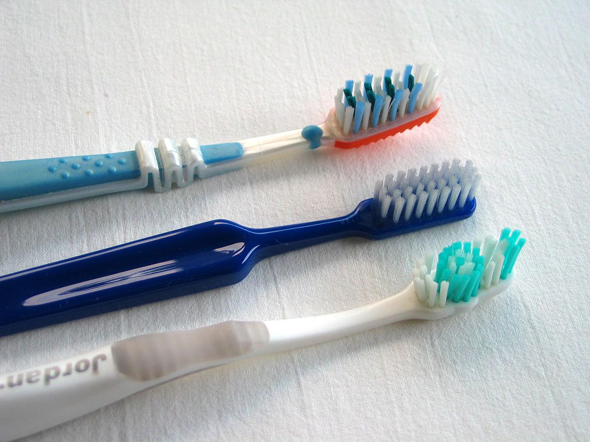 El cepillo de dientes puede ser vector de transmisión de la COVID-19, asegura Nancy Arzate del IPN