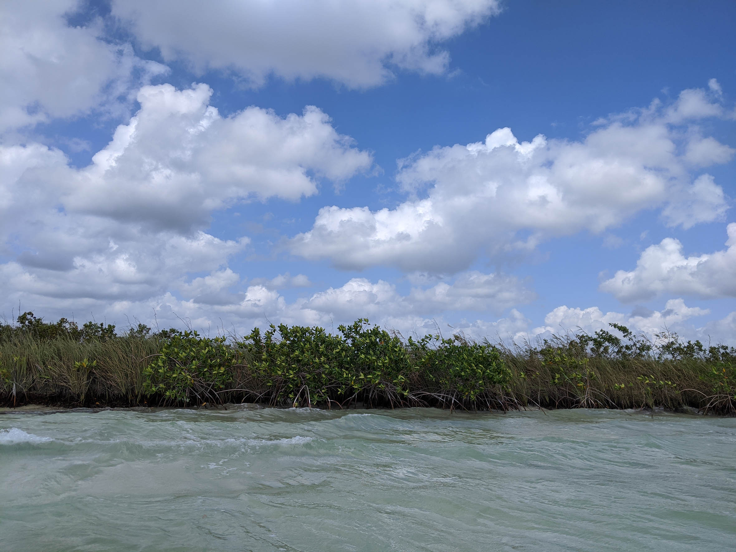 Urge proteger recursos naturales de la Península de Yucatán que es vulnerable al desarrollo del turismo