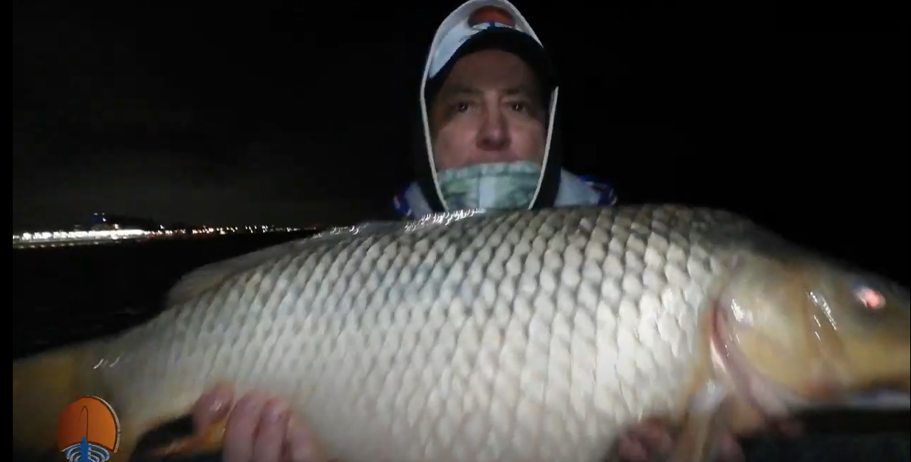 Pesca Aventura y Del Pescador: carpas del río La Plata, en pleno Buenos Aires, Argentina