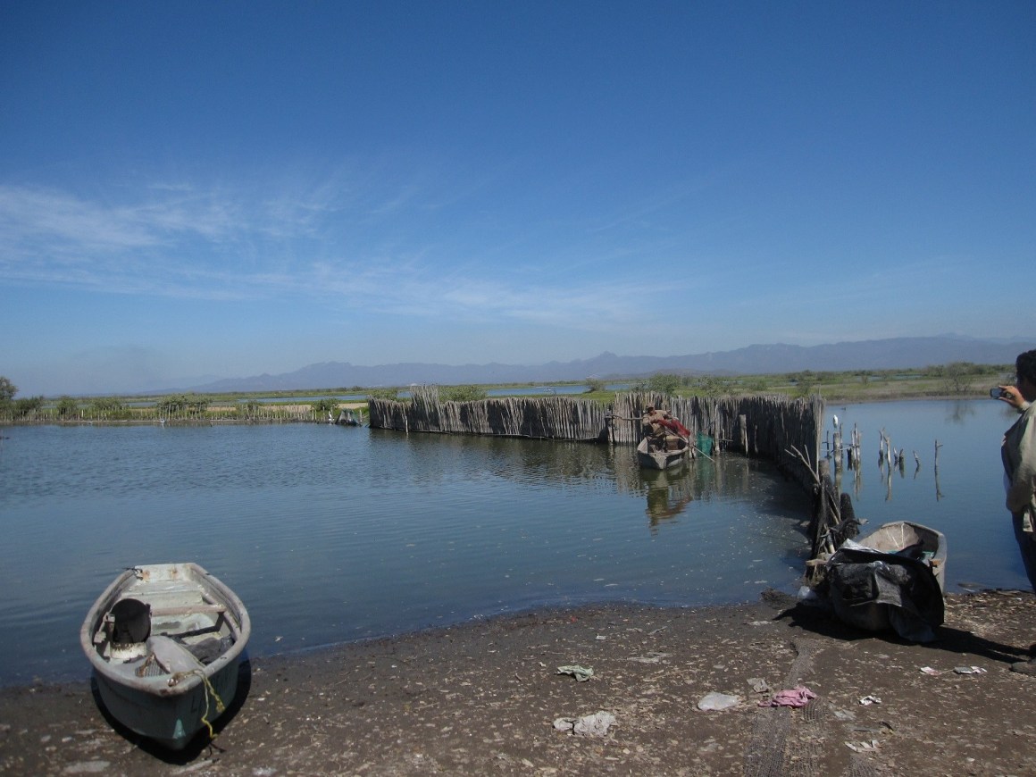 La pesca en el sur de Sinaloa, una historia de larga duración
