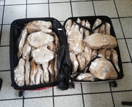 PROFEPA y FGR vinculan a proceso, a venezolano que transportaba a Seúl, 187 buches de totoaba con valor de 43.5 MDP