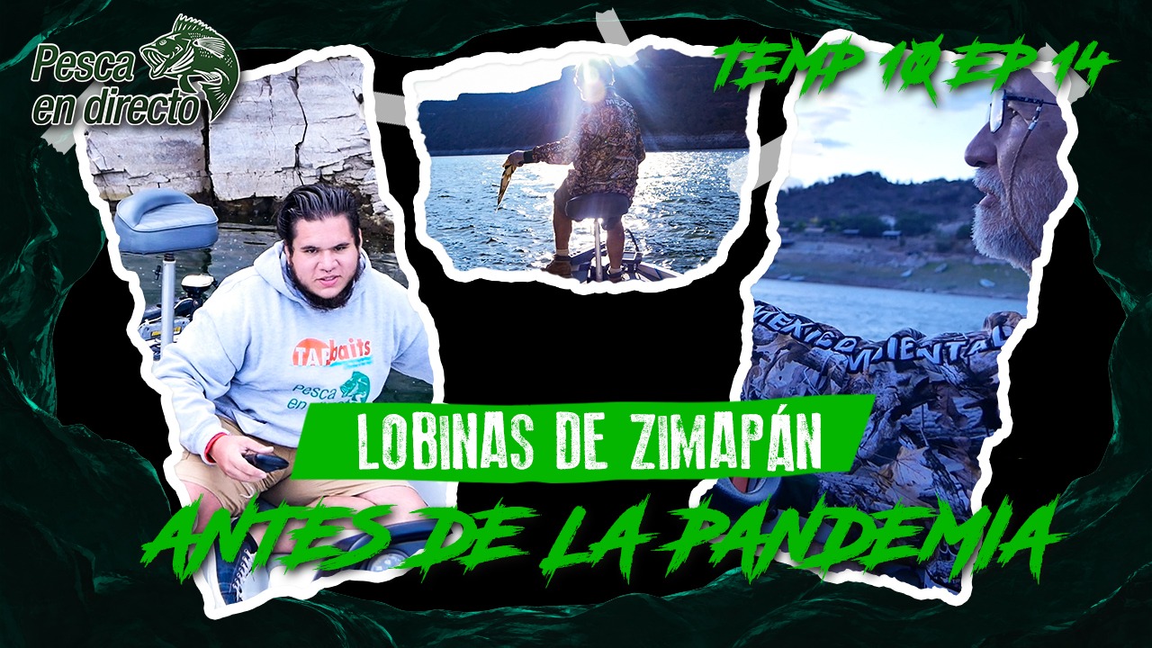 Lobinas de Zimapán, antes de la pandemia