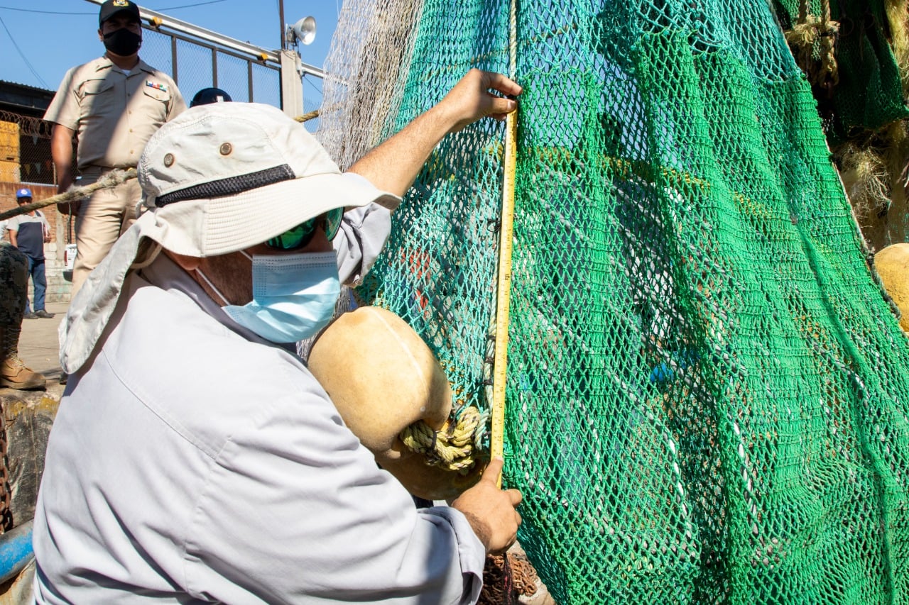 Elementos de la SEMAR son adiestrados en el manejo de Dispositivos Excluidores de Tortugas Marinas (DET)