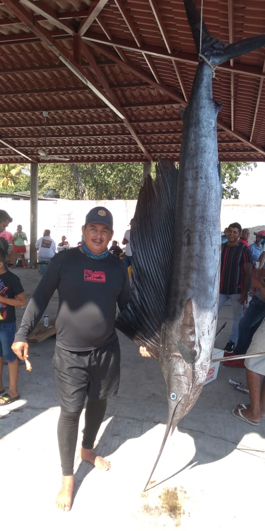 Pez vela de 52.570 Kg, de Ramón Cano Jr., registro histórico en la pesca de picudos en la región de Lázaro Cárdenas, Mich.