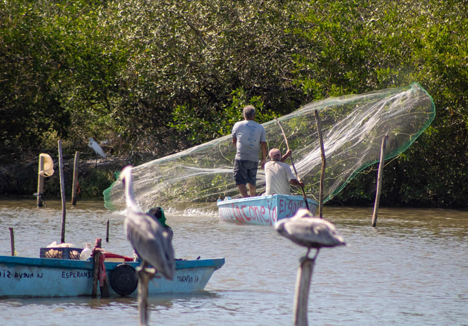 Se fortalece el sector con operación del Programa Nacional de Pesca y Acuacultura 2020-2024