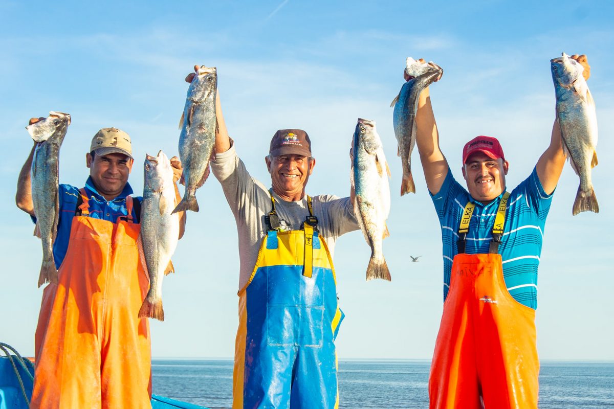 Alerta la Conapesca a pescadores: no se piden moches ni nada por la entrega de apoyo de Bienpesca