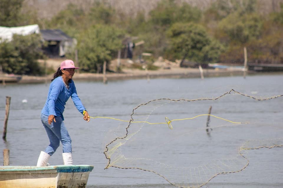 Mujeres, en el centro de la transformación de la pesca y la acuacultura en México