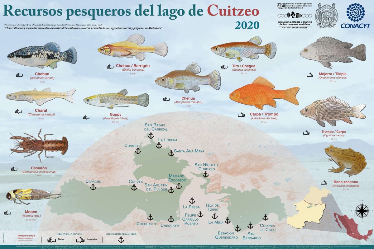 Investigación sobre fauna pesquera en lagos de Cuitzeo y Pátzcuaro, se resume en carteles ilustrativos