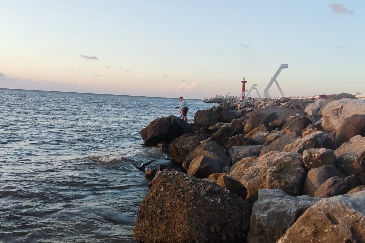 Pargos de Coatzacoalcos (todos los peces fueron liberados)