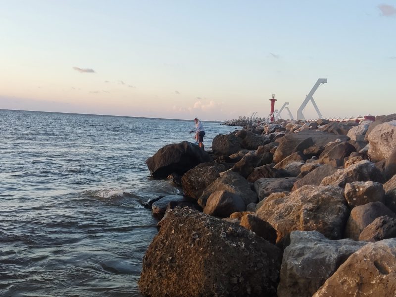 Pargos de Coatzacoalcos (todos los peces fueron liberados)