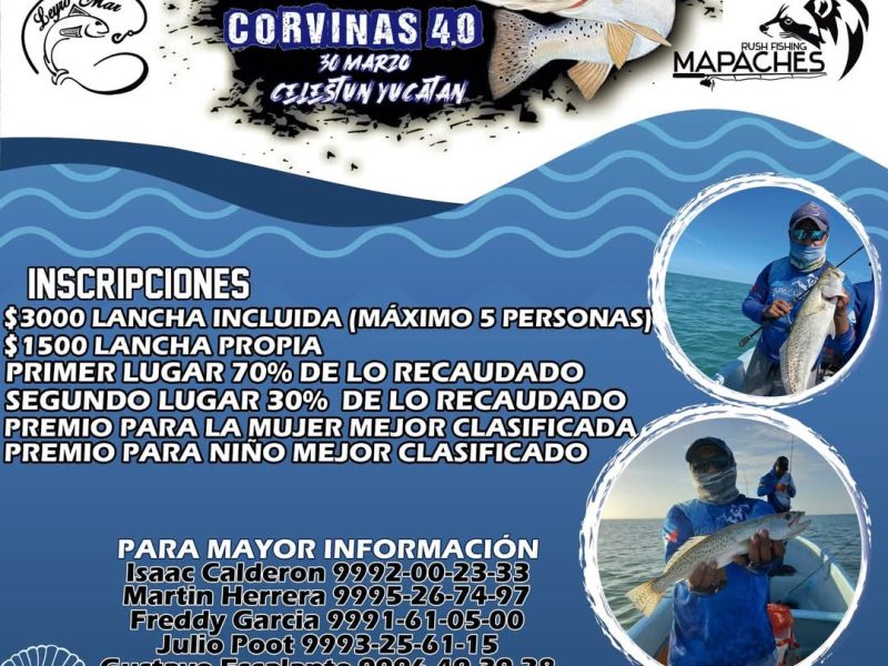 Torneo Mapaches Mamás Corvinas 4.0 Celestún 2025