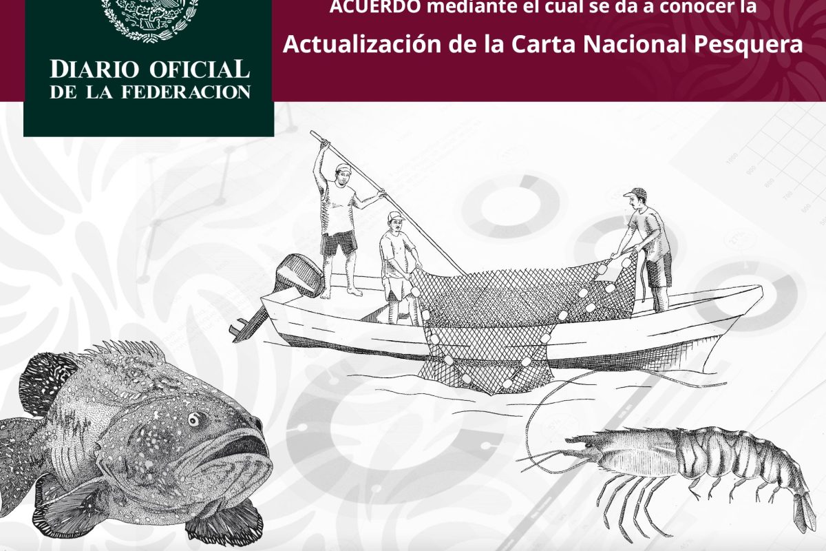 Actualizan 10 fichas tecnicas de especies en Carta Nacional Pesquera de México