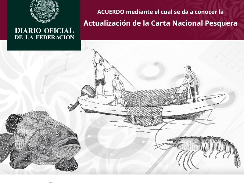 Actualizan 10 fichas tecnicas de especies en Carta Nacional Pesquera de México