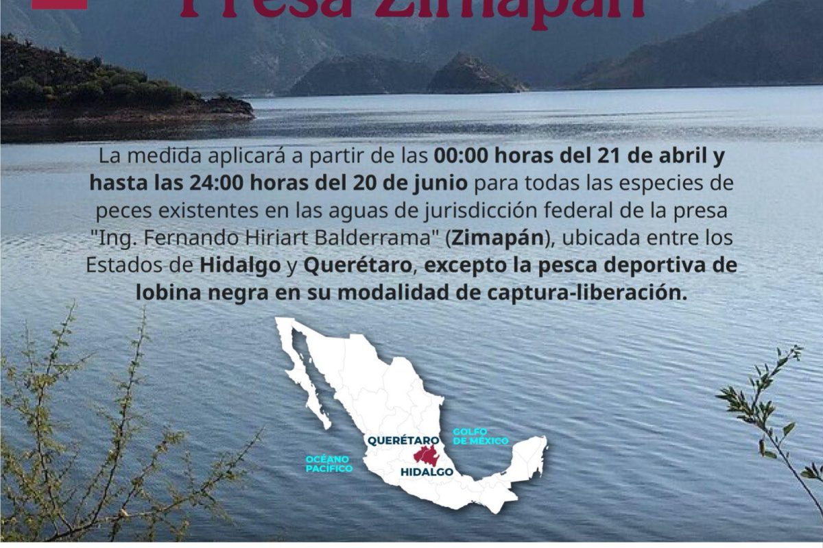 Veda de pesca en la presa Zimapán; permitida pesca de lobina con modalidad catch and release