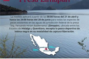 Veda de pesca en la presa Zimapán; permitida pesca de lobina con modalidad catch and release