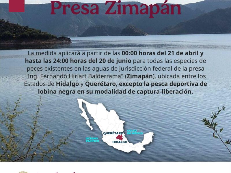 Veda de pesca en la presa Zimapán; permitida pesca de lobina con modalidad catch and release